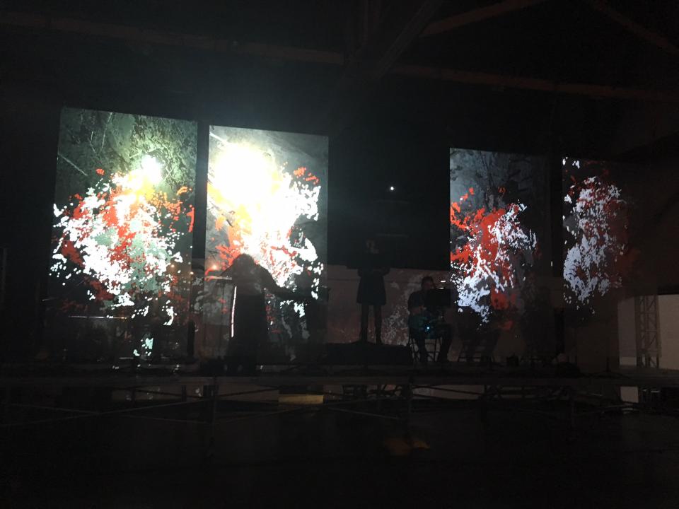 photograph of the projections of "In the dream..."